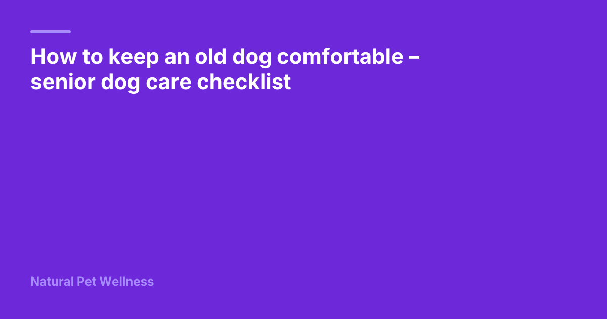 How to keep an old dog comfortable – senior dog care checklist ...