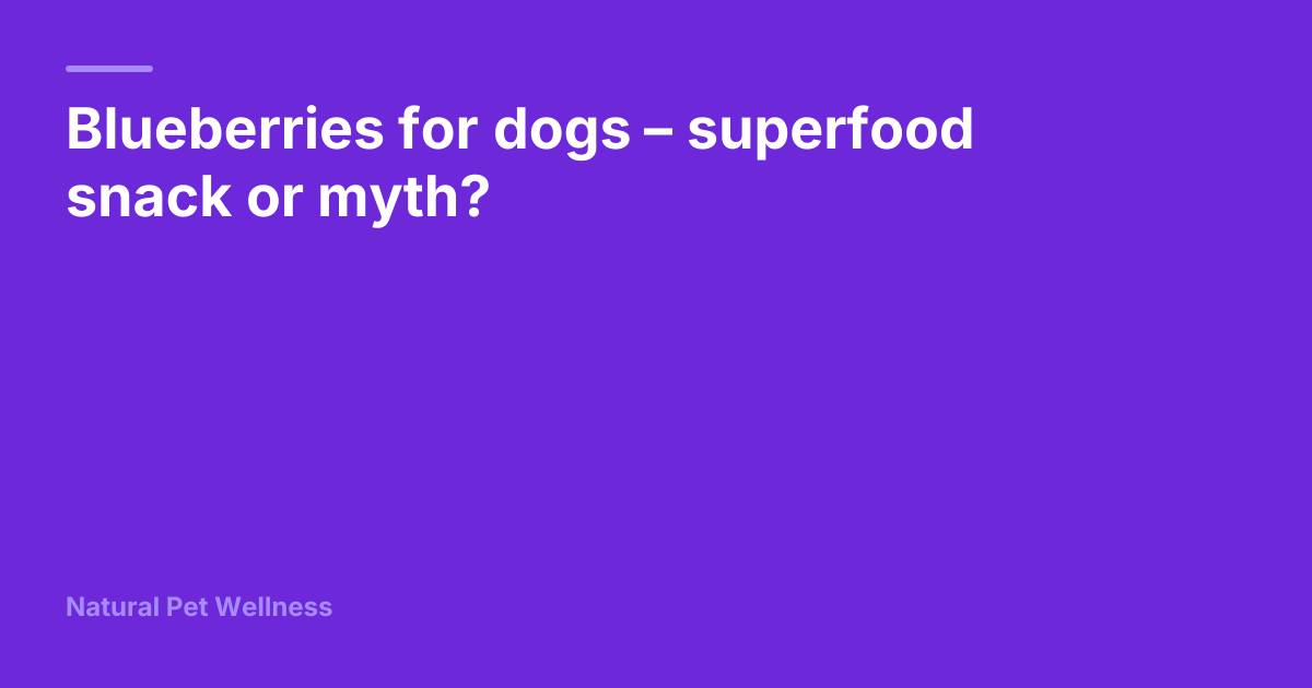 Blueberries for dogs – superfood snack or myth? | Natural Pet Wellness