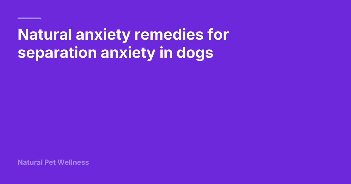 Natural anxiety remedies for separation anxiety in dogs | Natural Pet ...